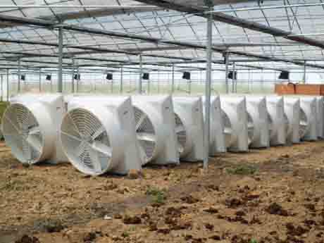 昆山选择防爆负压风机 昆山选择防爆负压风机